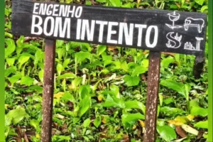 Bujaru avança na proteção ambiental e histórica com consulta pública para criação da unidade de conservação “Engenho Bom Intento”