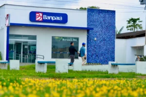 Banpará Bio garante crédito facilitado e fortalece produção sustentável no Pará