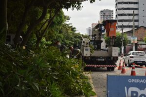 Prefeitura intensifica serviço de poda na avenida Marquês de Herval