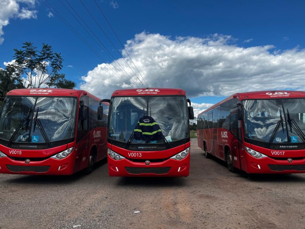 Sefa apreende três ônibus avaliados em R$ 1,5 milhão e mais de seis toneladas de camarão no Pará