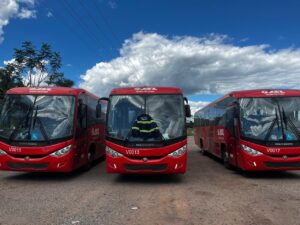 Sefa apreende três ônibus avaliados em R$ 1,5 milhão e mais de seis toneladas de camarão no Pará