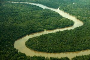 Fapespa integra chamada de R$ 107,1 milhões para impulsionar pesquisa e inovação na Amazônia