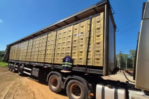 Fiscalizações da Sefa resultam na apreensão de combustíveis e bebidas no Sudeste do Pará