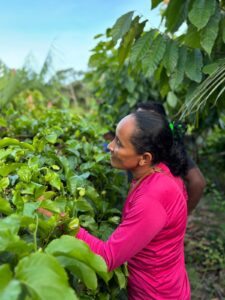 Projeto de geração de renda e inclusão produtiva coopera com a redução da pobreza