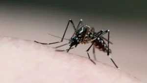 Vacina da dengue do Butantan tem 42 reações severas e 2 óbitos investigados