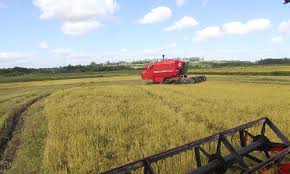 Parlamentar paraense defende mecanização para a agricultura familiar