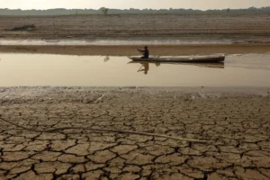 Pará lidera recuperação de área de água após seca na Amazônia, aponta MapBiomas