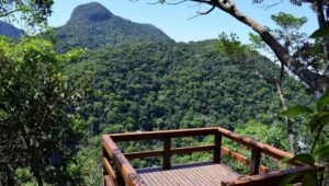 Trilhas, mirantes, história e natureza: conheça o Parque Nacional da Tijuca