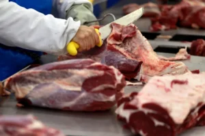 Carne bovina brasileira fica fora de sobretaxa de 12,5% dos EUA