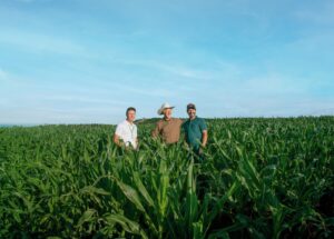Associados do Sicredi terão R$ 72,1 bilhões disponíveis para apoiar culturas agrícolas e pecuária em 2026/2027
