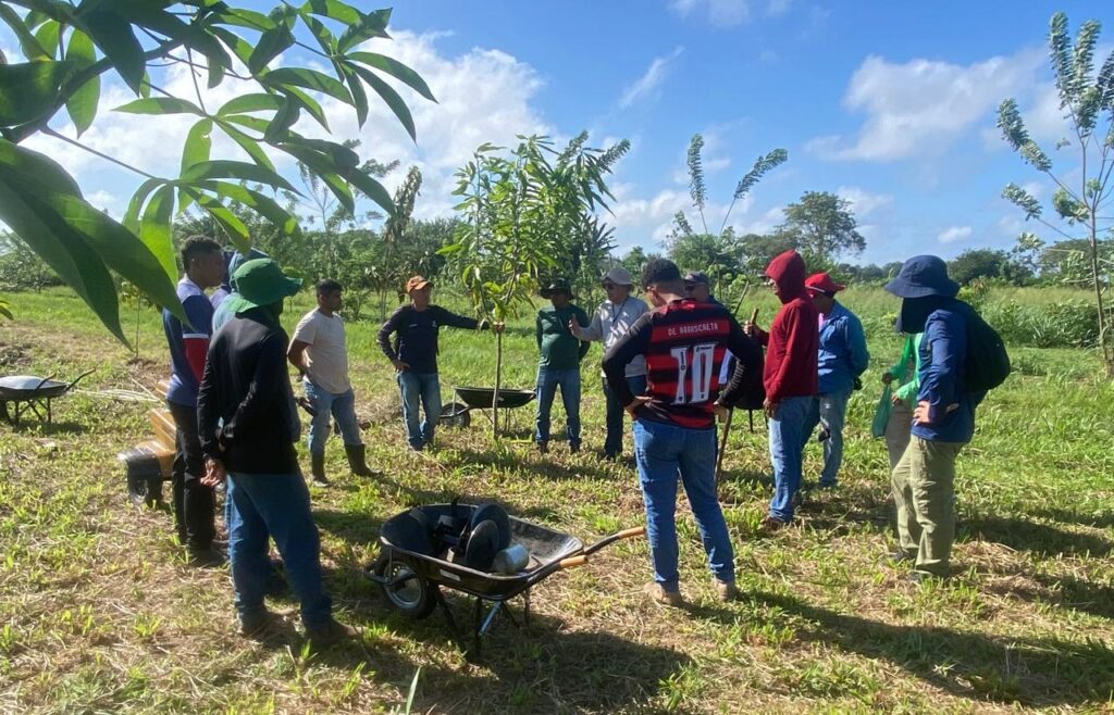 Tecnologia e Parceria com a Embrapa fortalecem a agricultura na região do Marajó