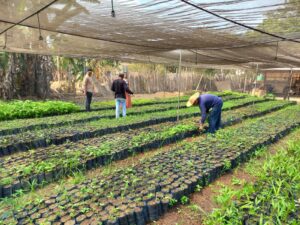 Programas da Suzano ajudam comunidades do campo a superar a pobreza