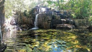 Onde o Cerrado encontra os versos: a jornada de 300 km pelo Caminho de Cora Coralina