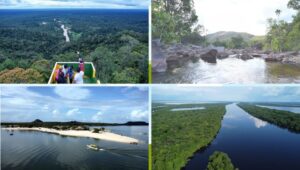 Nove estados, um bioma: descubra a diversidade do turismo de natureza na Amazônia brasileira