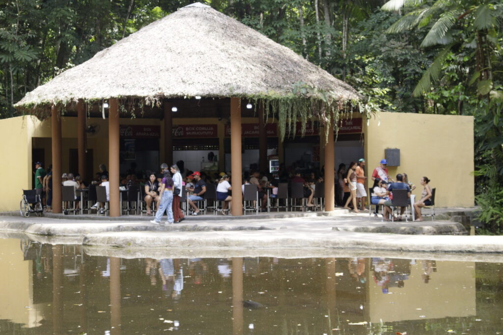 Bosque encanta o público com novos recintos no final da programação de aniversário