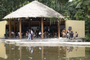 Bosque encanta o público com novos recintos no final da programação de aniversário