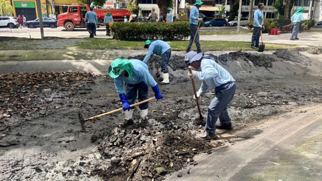 Prefeitura segue com plano para conter garças na praça Batista Campos