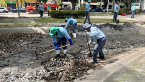 Prefeitura segue com plano para conter garças na praça Batista Campos