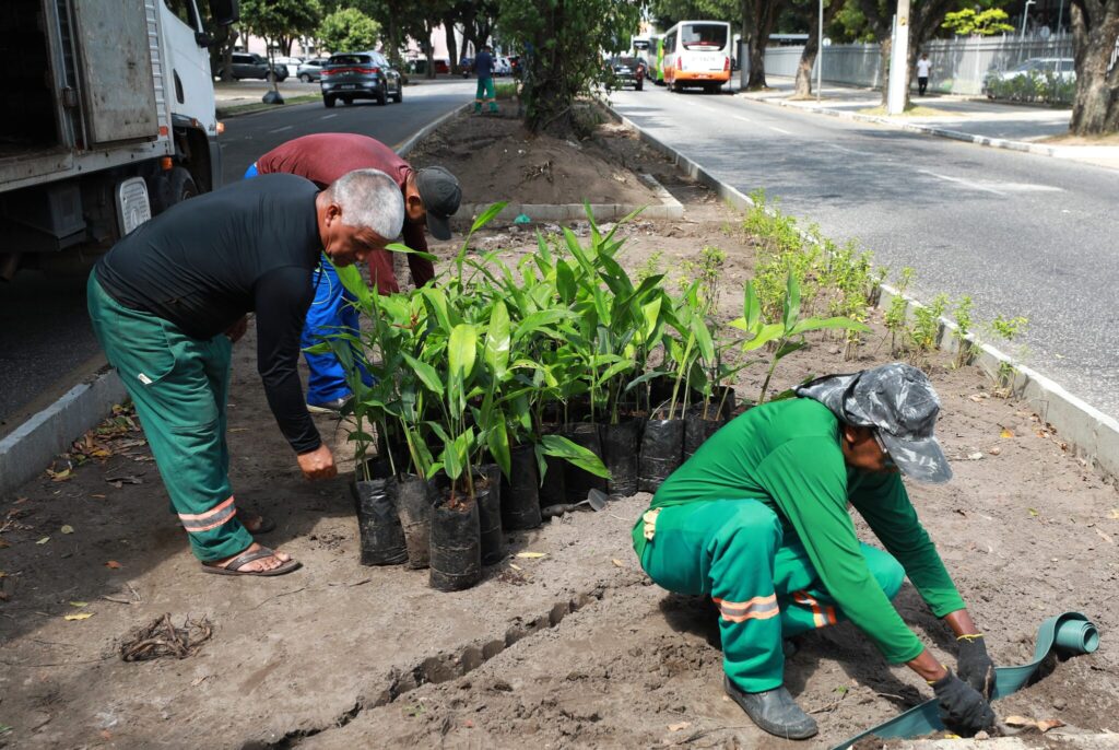 Avenida Marechal Hermes recebe o maior jardim de chuva de Belém