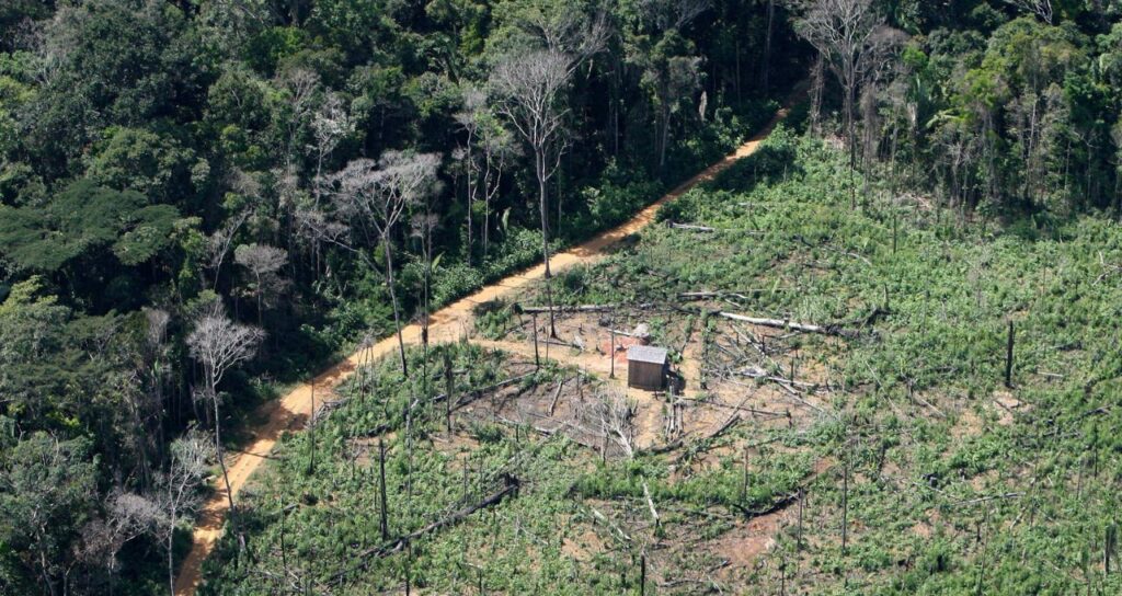Desmatamento na Amazônia registra maior recuo da década