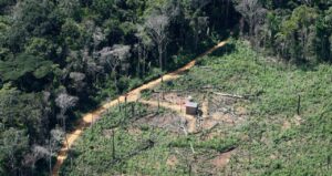 Desmatamento na Amazônia registra maior recuo da década