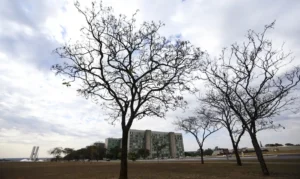 Grande parte do país tem temperaturas elevadas nesta terça-feira