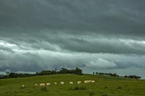 Segunda-feira será de chuva intensa no Rio Grande do Sul e acende alerta para temporais