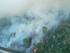 Pará se antecipa ao El Niño e cria alerta para enfrentar possível período de seca