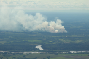 O que a Amazônia espera com a chegada do El Niño