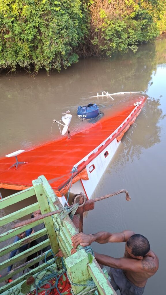 Naufrágio de balsa com 60 búfalos no Marajó: investigação avança, mas causa do acidente ainda é mistério
