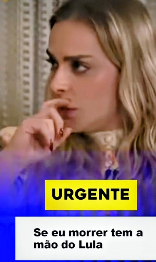 Vídeo – -Após entrevista à CNN, Van Hattem pede proteção a Roberta Luchsinger