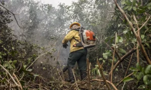 Incêdios no Amazonas resultam de ação humana intencional, diz ministro